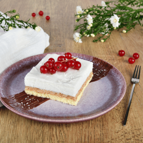 ENTREMETS COCO & CHOCOLAT BLANC CROQUANT alsa Professionnel