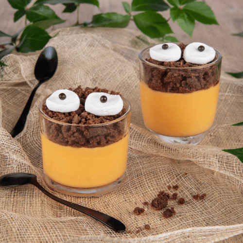 recette Pot de Crème Mangue-Abricot Chocolat alsa professionnel