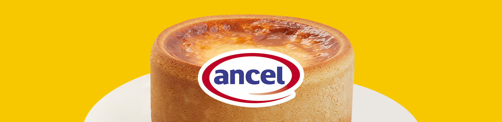Logo ancel