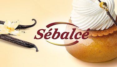 Sebalce-Header-mobile