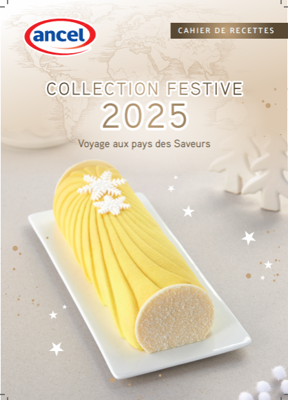 Cahier de bûches 2025