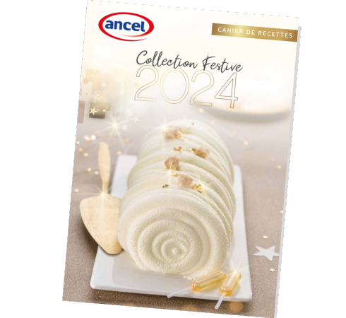 actu Découvrez la Collection Festive 2024 !