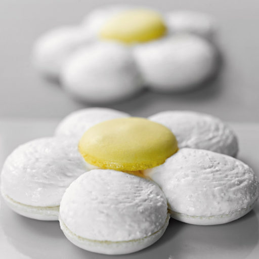 Recette macaron fleur noix de coco - Condifa